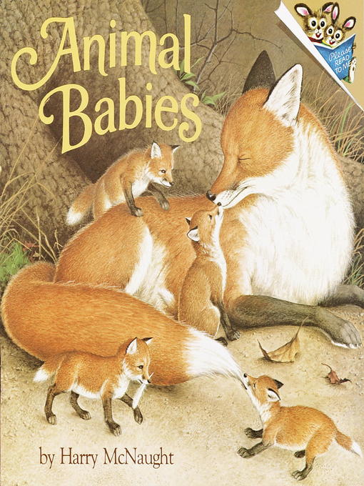 Cover image for Animal Babies